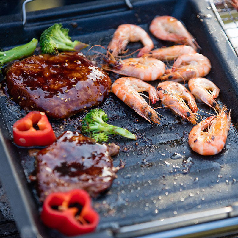 Outdoors Thick Square Grill Pa - Camping Cooking Device 评论和价格